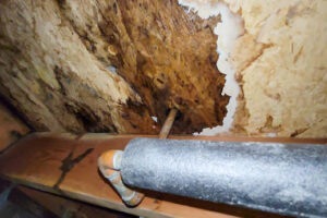 كشف تسربات المياه بحي القيروان